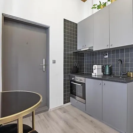 Boutique 2br In Old Town With Parking Apartment